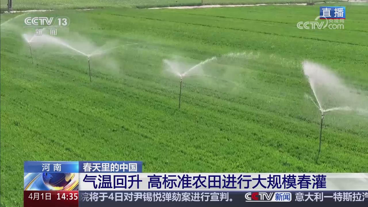 【央視關(guān)注河南】8500萬畝小麥正值拔節(jié)期
