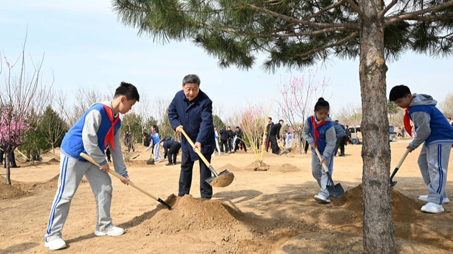 习近平：汇聚共建美丽中国磅礴力量 让祖国大地更加绿意盎然生机勃发