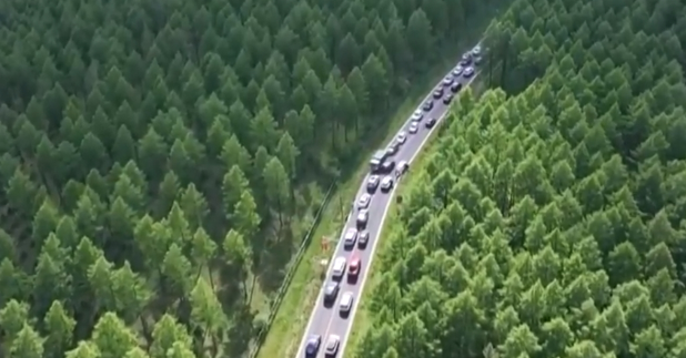 共植新绿 建设美丽中国