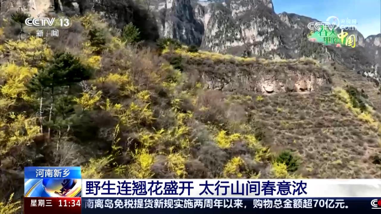 央媒看河南丨關(guān)注河南春日經(jīng)濟(jì)等內(nèi)容