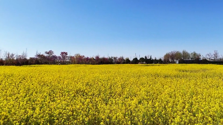 乡村旅游开启花式精彩