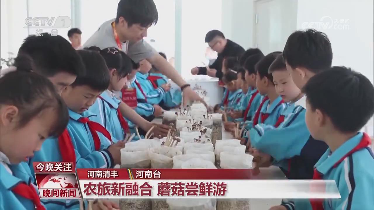 【央視關(guān)注河南清豐】農(nóng)旅新融合 蘑菇嘗鮮游