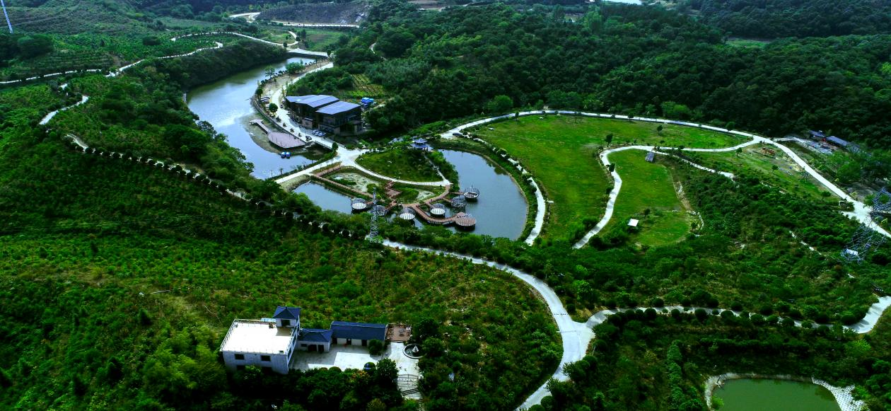 “春日来信 畅游茶香” 罗山县2025年春季旅游线路推荐
