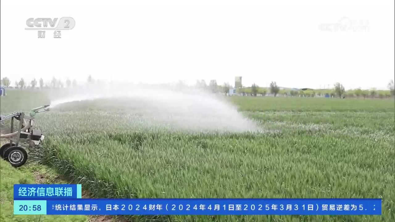 【央视关注河南唐河】旱情面积超80万亩 农户多浇水缓解麦田干旱