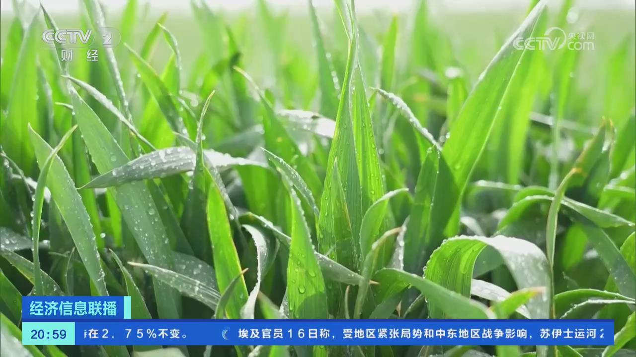 【央視關注河南鶴壁】精準補水 利用可用水源全力抗旱