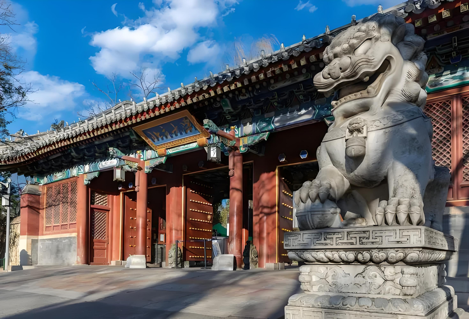 北大博士入职民办高校被指学历浪费?博士就业真相