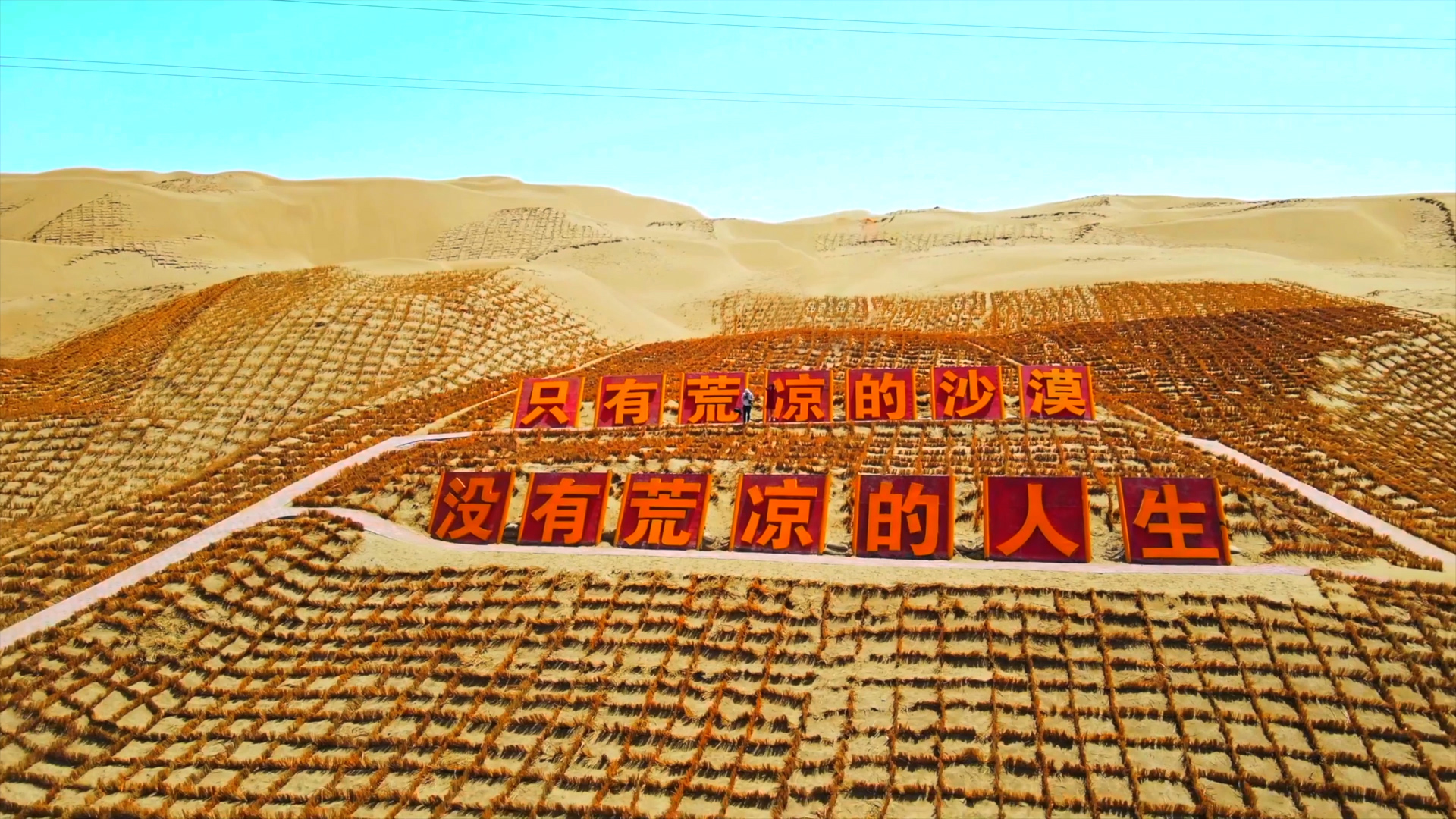 讓青春之花綻放在祖國(guó)最需要的地方