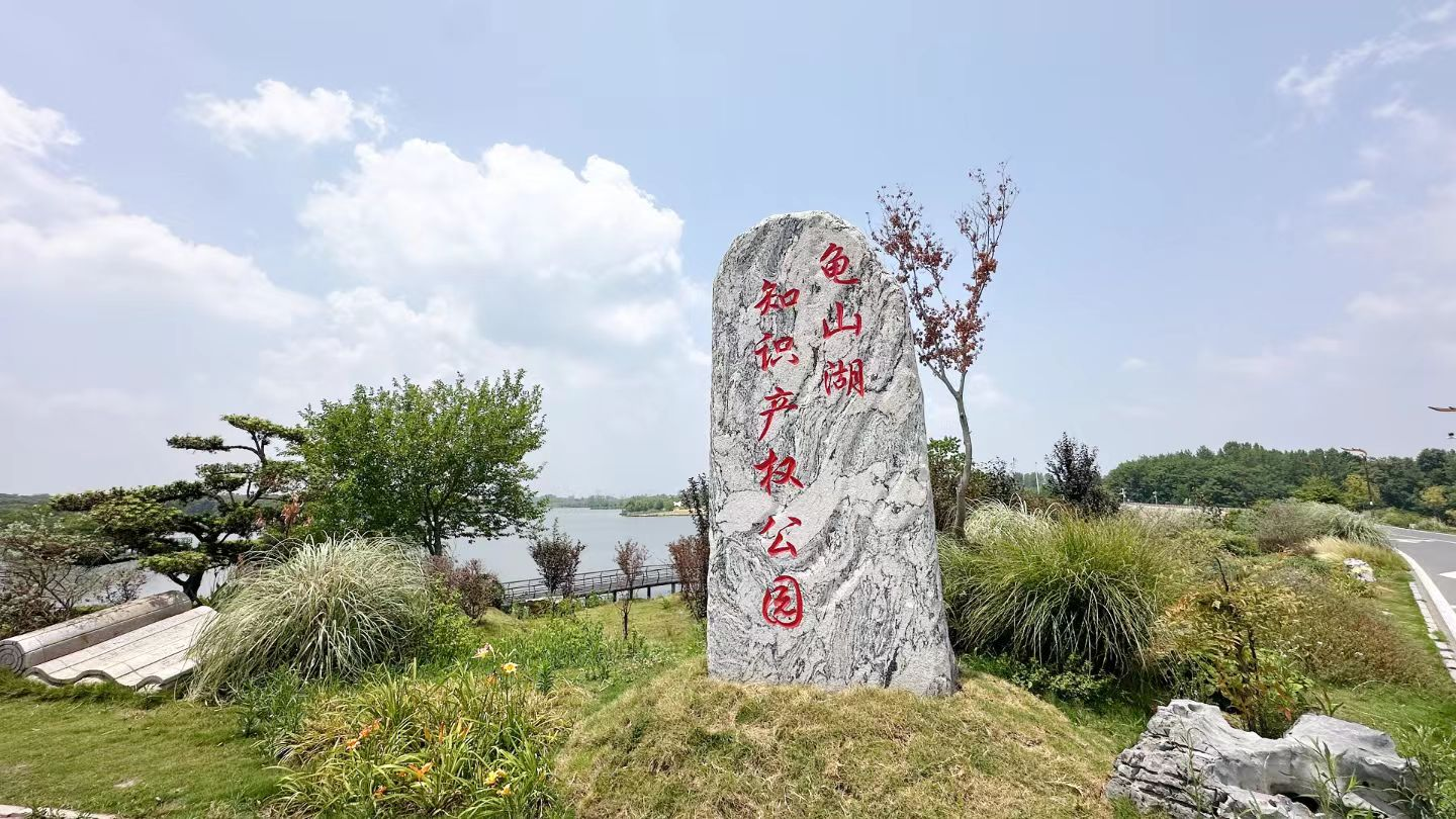 罗山县知识产权创新模式获评全省改革典型案例