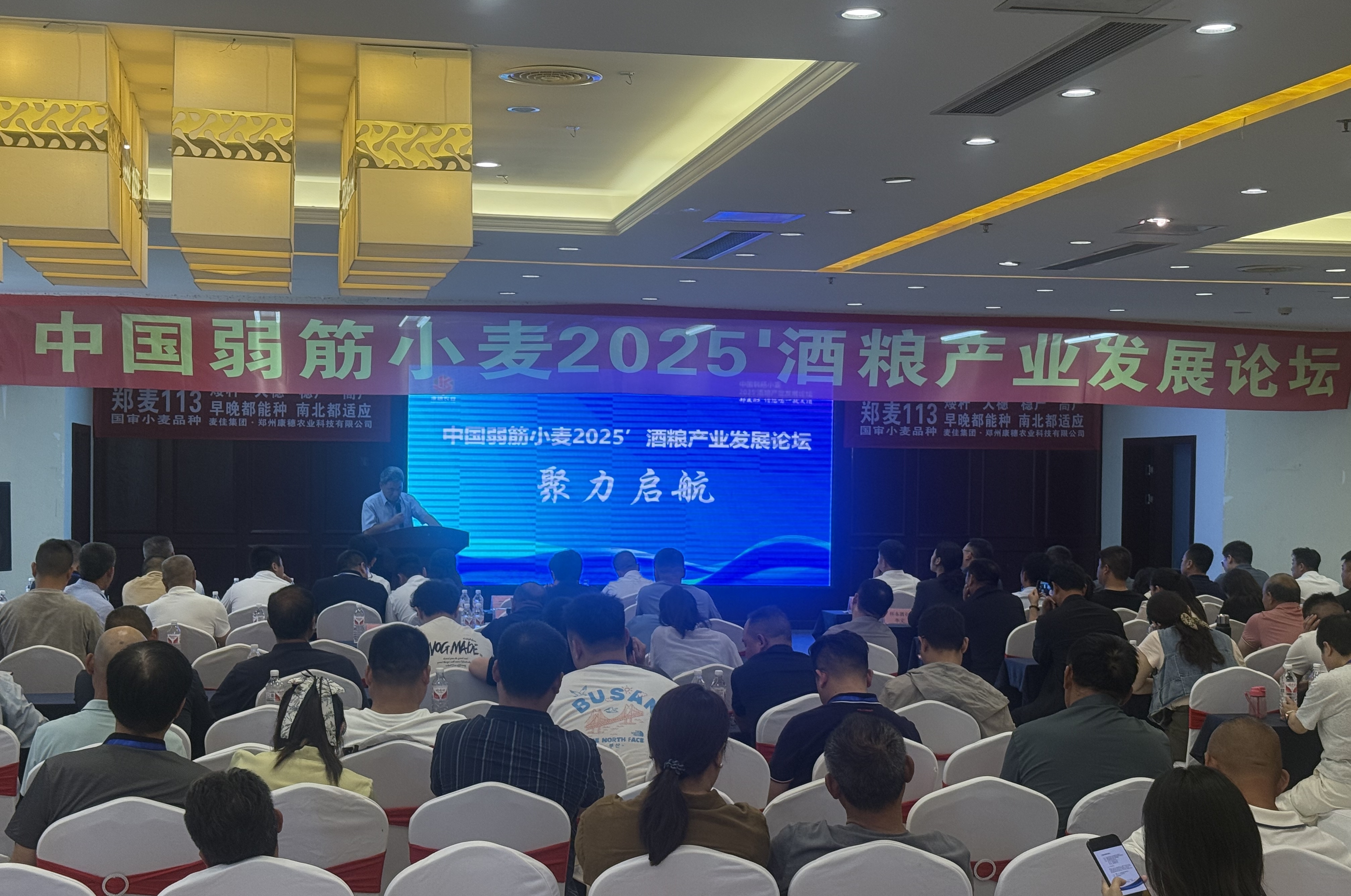 新蔡县中国弱筋小麦2025酒粮产业发展论坛举行
