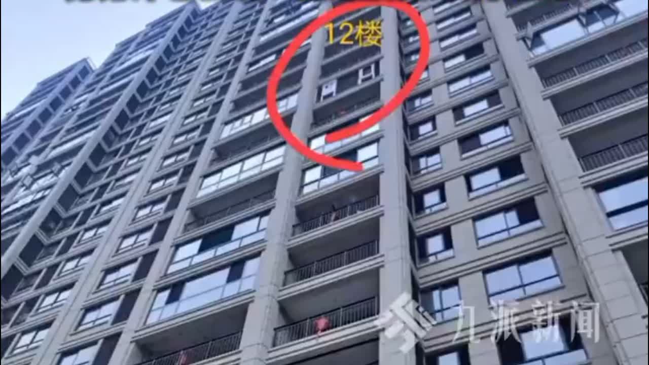 女子12樓墜落生還當(dāng)事人發(fā)聲：向老公求助