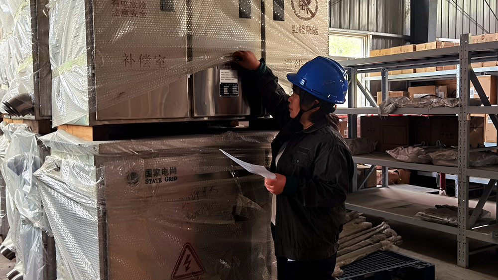 国网平舆县供电公司筑牢电网防汛“安全堤”