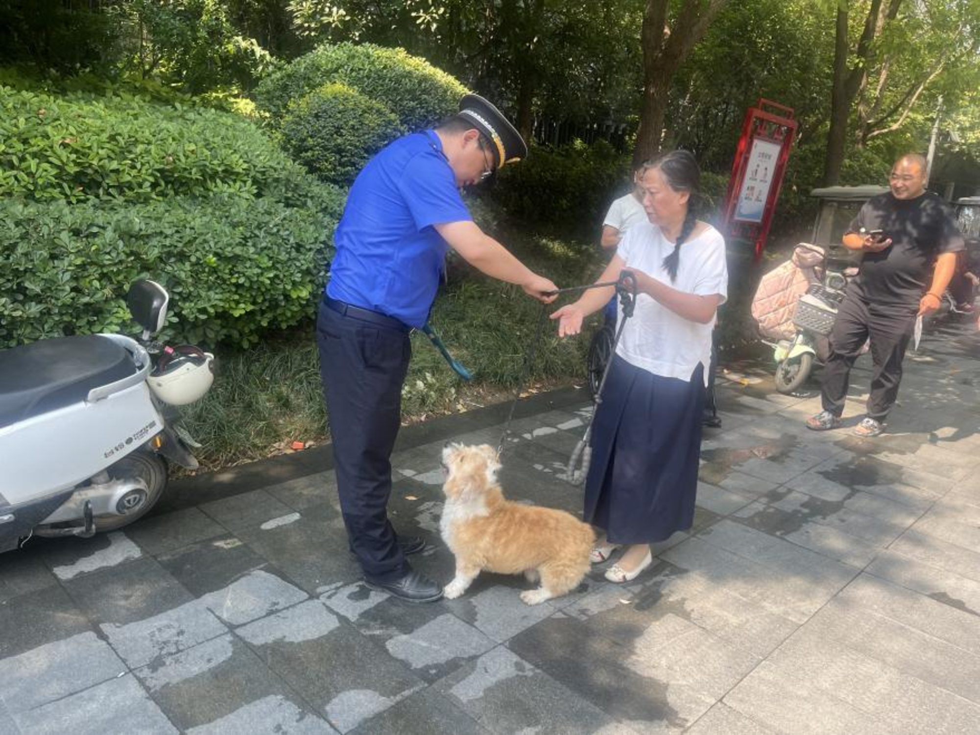 “三联养犬”服务进社区， 养犬办证年检更便民