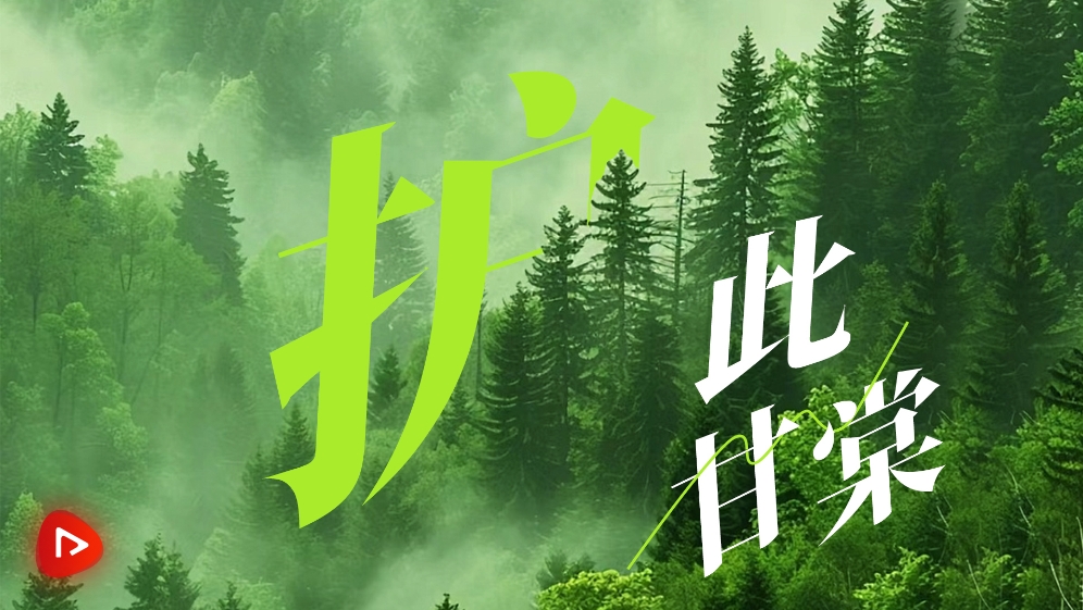 美丽中国我先行｜护此甘棠