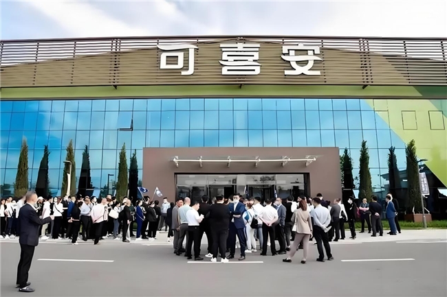 解码可喜安创新驱动与文化传承的二十一年平衡术