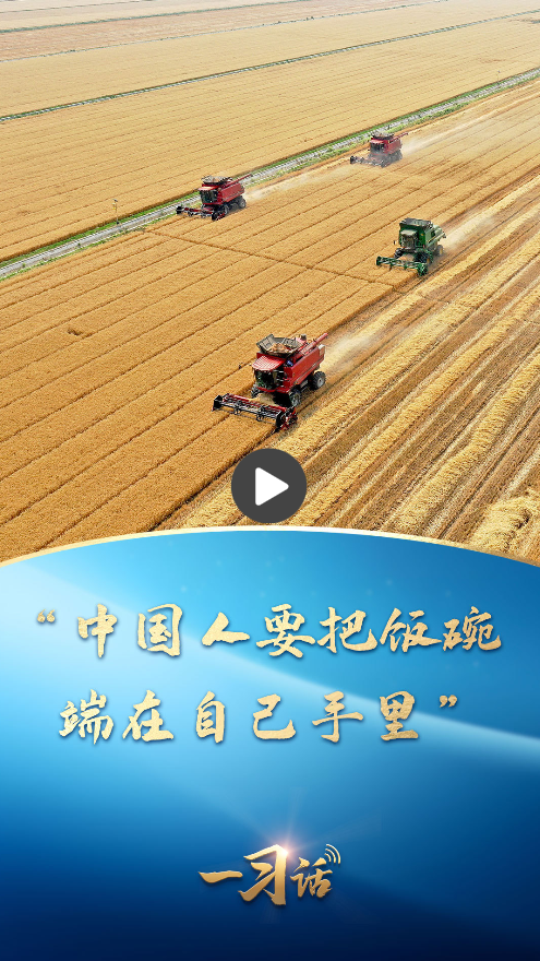 一习话｜“中国人要把饭碗端在自己手里”