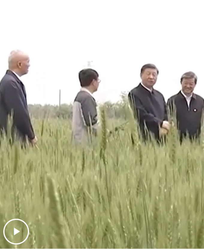 时习之丨采取“长牙齿”的硬措施保护耕地