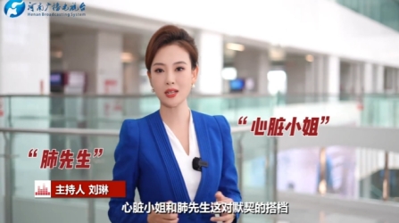 “心脏小姐”和“肺先生”