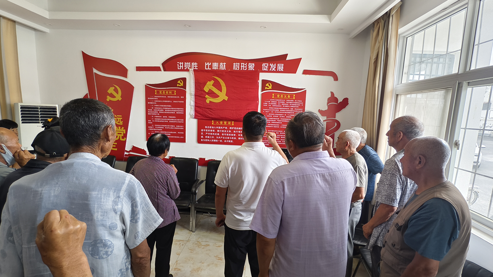 安阳县岗上村“七个一”庆七一 传承红色力量