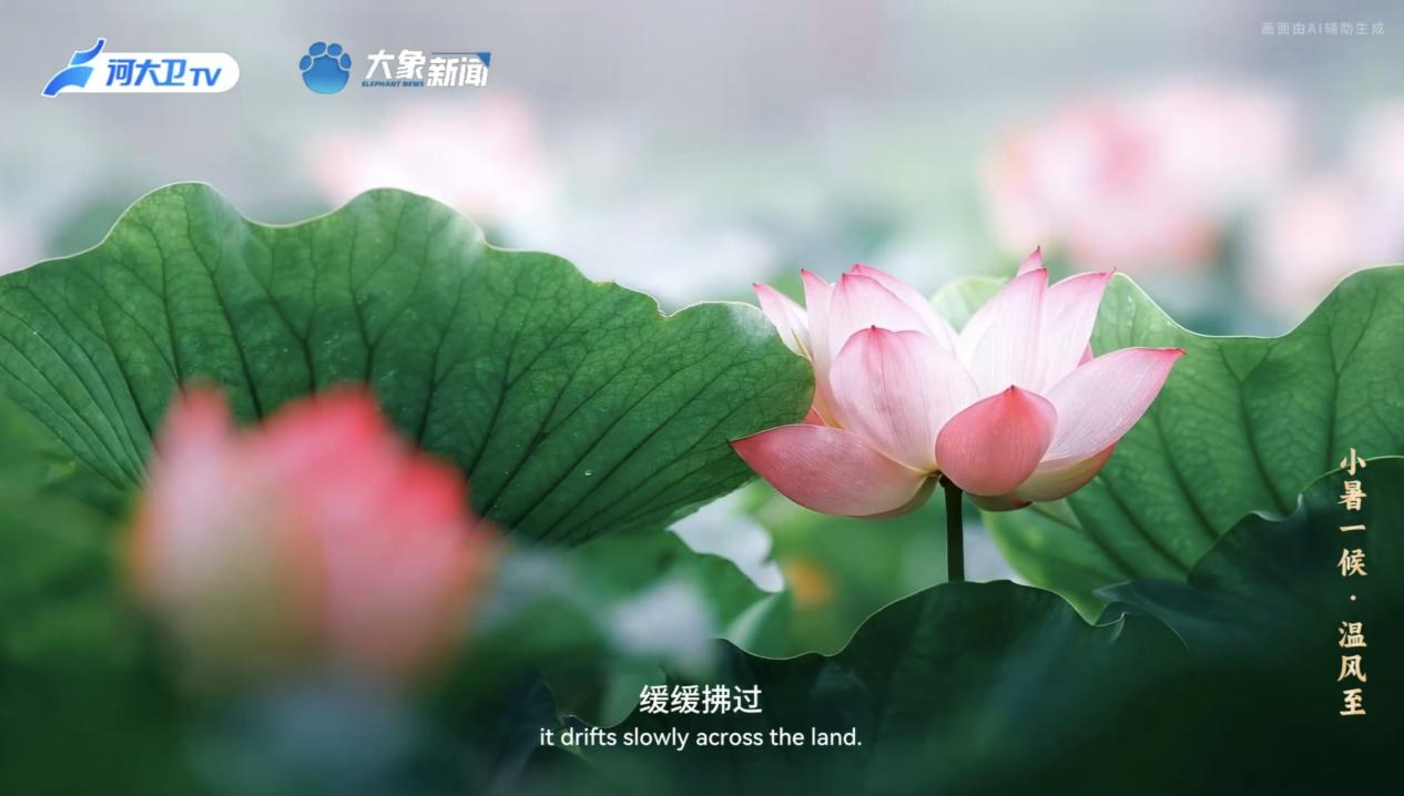 何以中國丨中國節氣·小暑