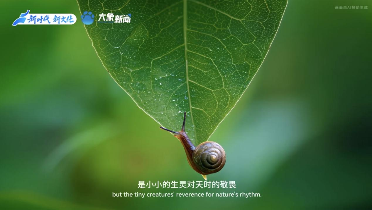 何以中國丨中國節氣·小暑