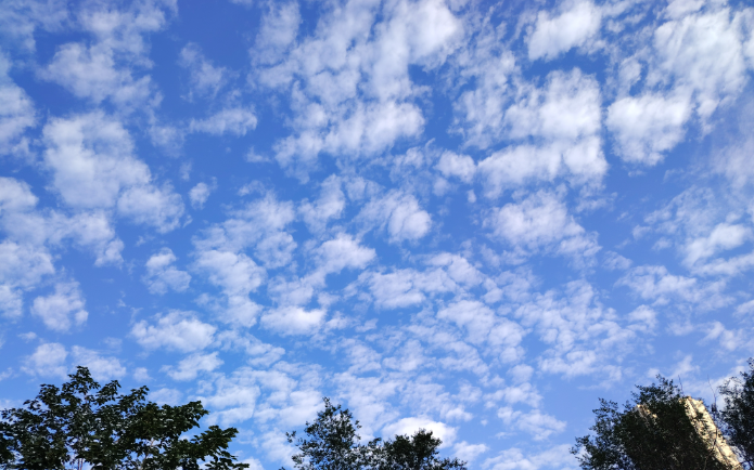 河南省防减救灾办发布做好高温天气灾害防范应对的风险提示