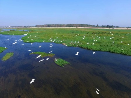  汝州市：北汝河蝶变激活“水经济” 碧水穿城绘幸福画卷