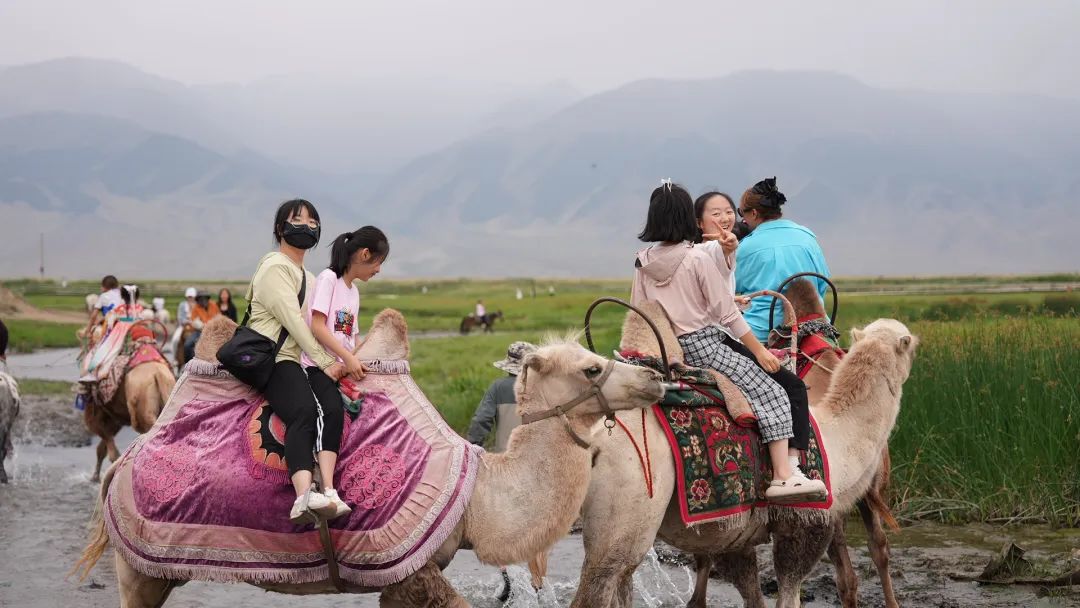 湖光古迹里的成长课——豫哈少年在巴里坤的文化润疆之旅