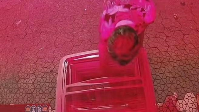 老太每天凌晨“清空”爱心冰柜，店主：以后只在白天放冰糕