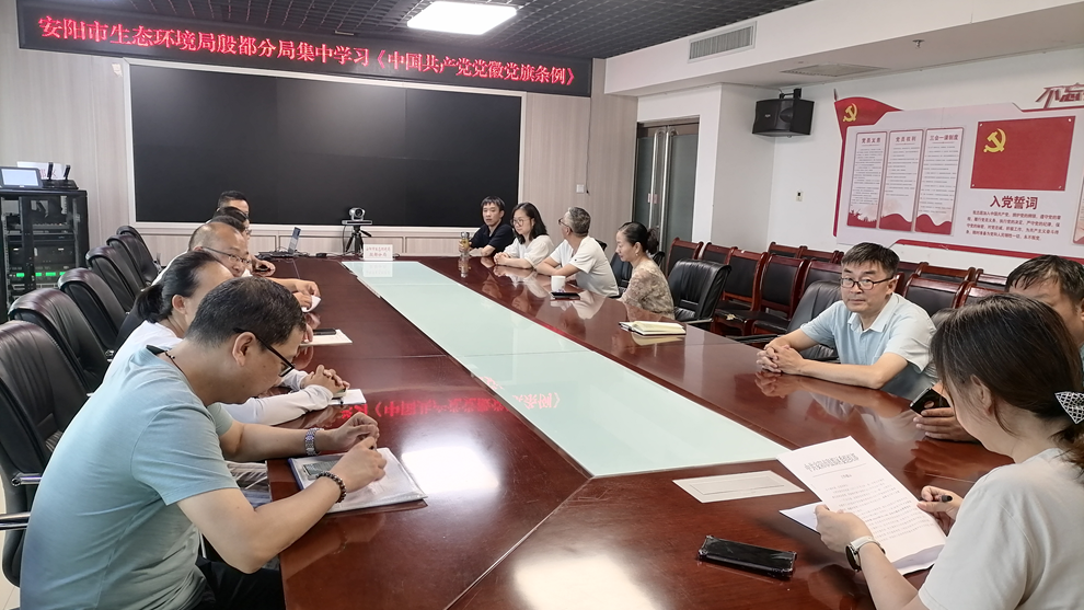 安阳市生态环境局殷都分局开展《中国共产党党徽党旗条例》专题学习主题党日活动