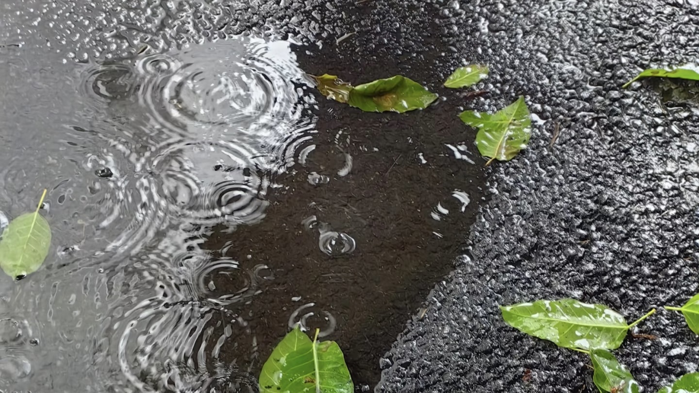 雨停了？气象台：未来一周河南仍多降雨，明夜起多地中到大雨