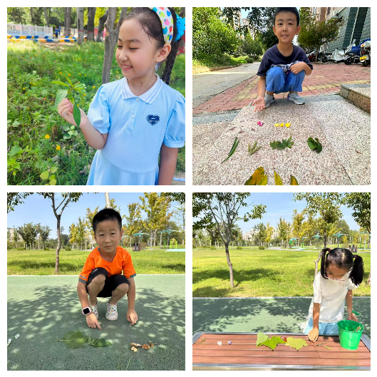 濮阳市油田第二小学教育集团师苑校区综合实践活动