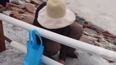 游客将茶卡盐湖铺路盐成袋装走 景区：不能食用 可以泡脚