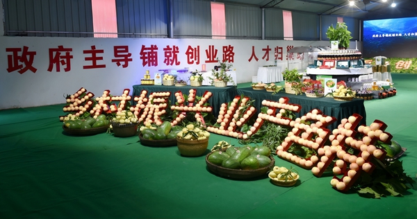 汝州：“联村共建”激活集体经济“大发展”