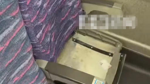 离谱！大妈用化肥袋打包高铁坐垫