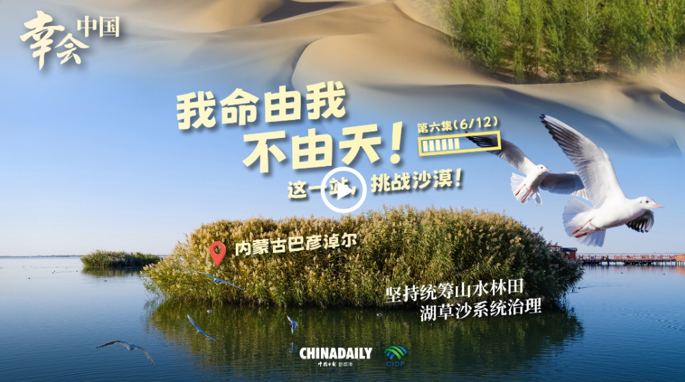 幸会中国 | 荒漠变林海，三北工程绘出生态奇迹