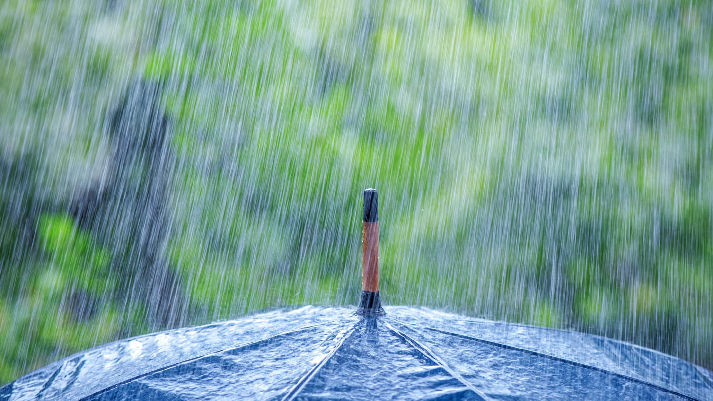 中到大雨，局地暴雨！河南今日降雨继续