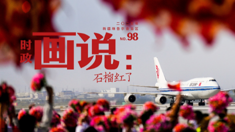 时政画说丨石榴红了