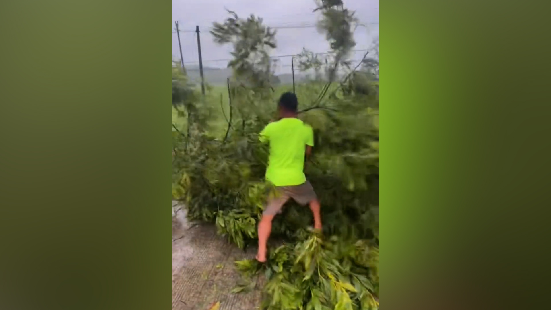 台风过后车友会自发清理树木 10余辆越野车清理近5小时