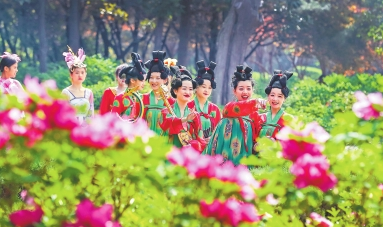 着力推动河南文旅产业高质量发展的对策建议 着力推动河南文旅产业高质量发展的对策建议