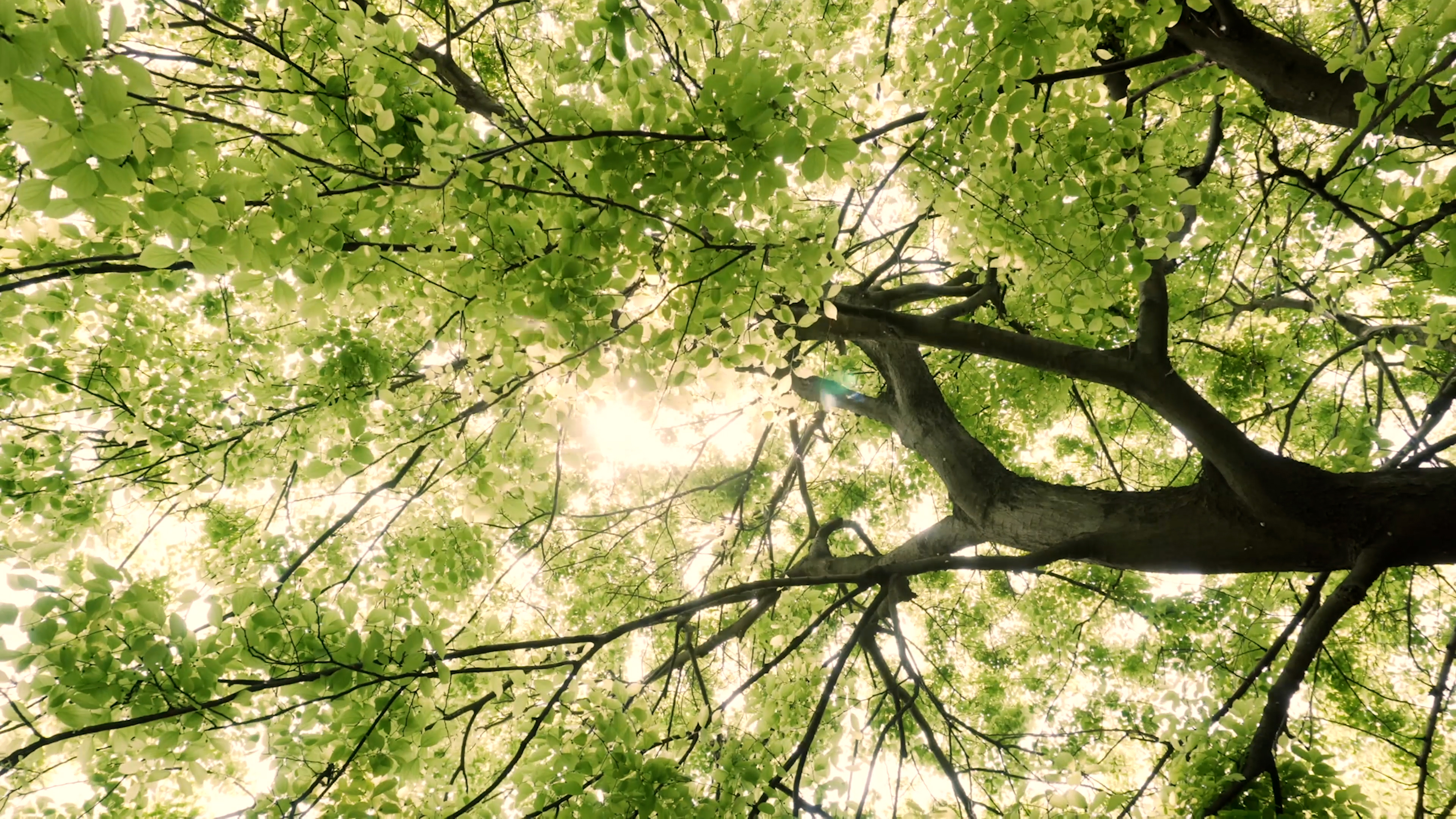 一封信 两地情 幸福长