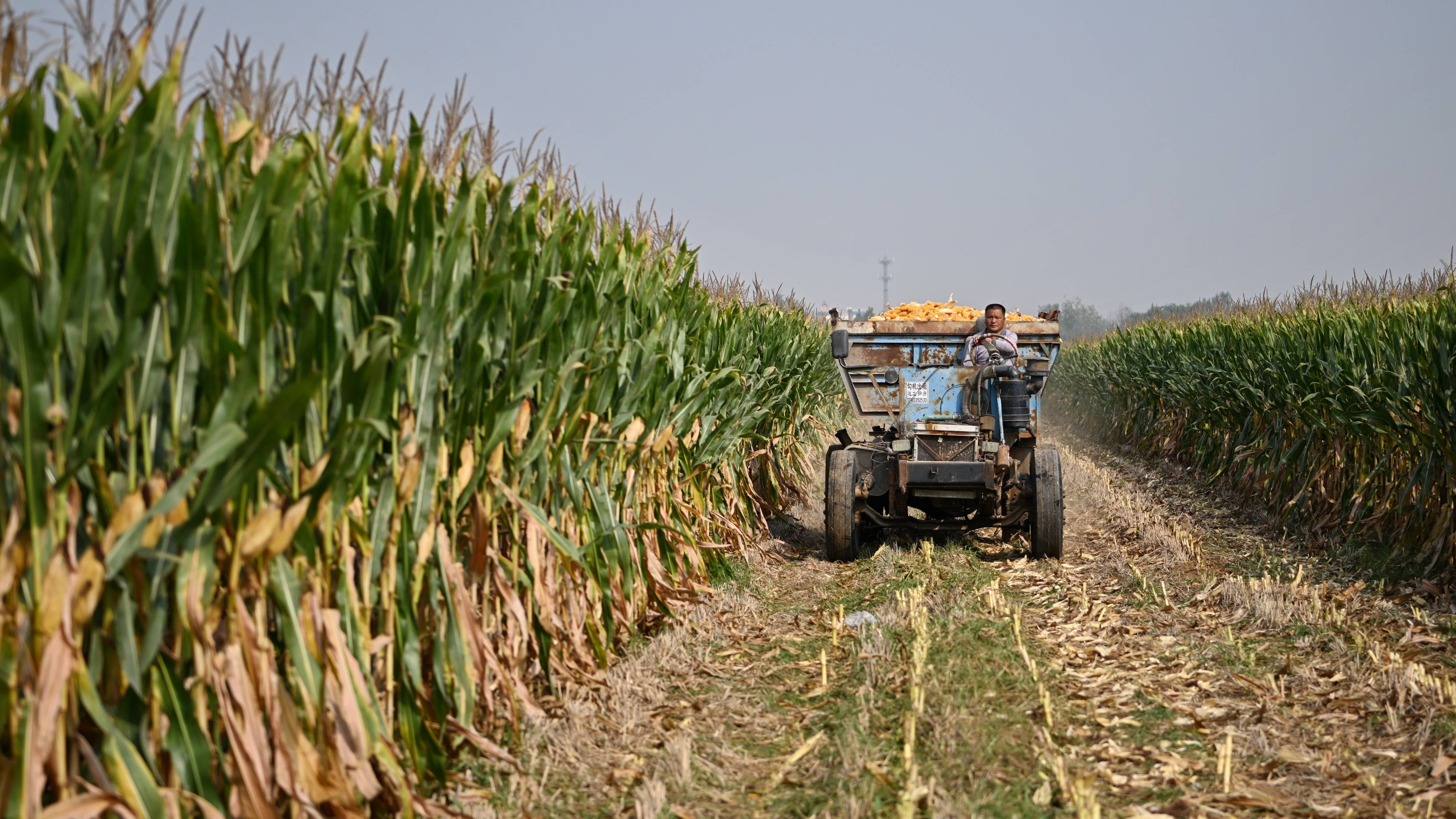截至10月2日17时，河南省秋作物已收获5698万亩