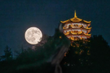 青春华章｜家国两相依，青春筑梦书华章