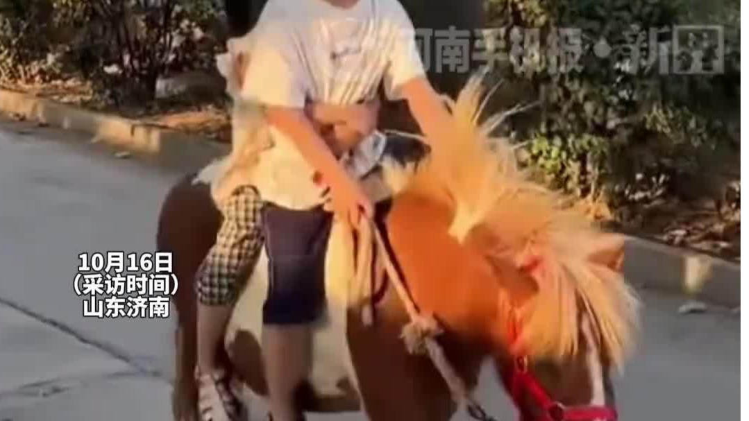 孙子孙女在公园骑小矮马没玩够，爷爷花几万元网购买回家