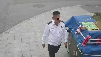 自称“省厅领导”去派出所“指导工作”，张某被行政拘留