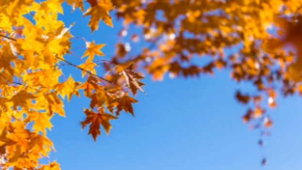 秋天真的在变短，郑州深圳等地入秋“拖延”超10天