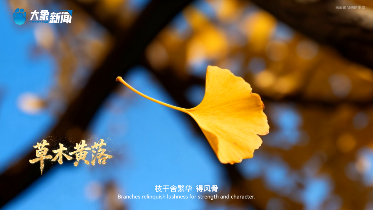 何以中國丨中國節(jié)氣·霜降