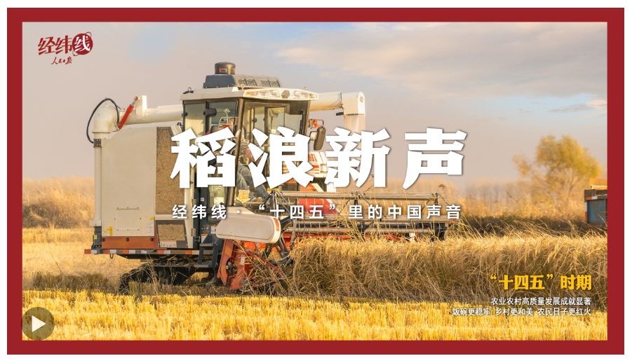 经纬线·稻浪新声