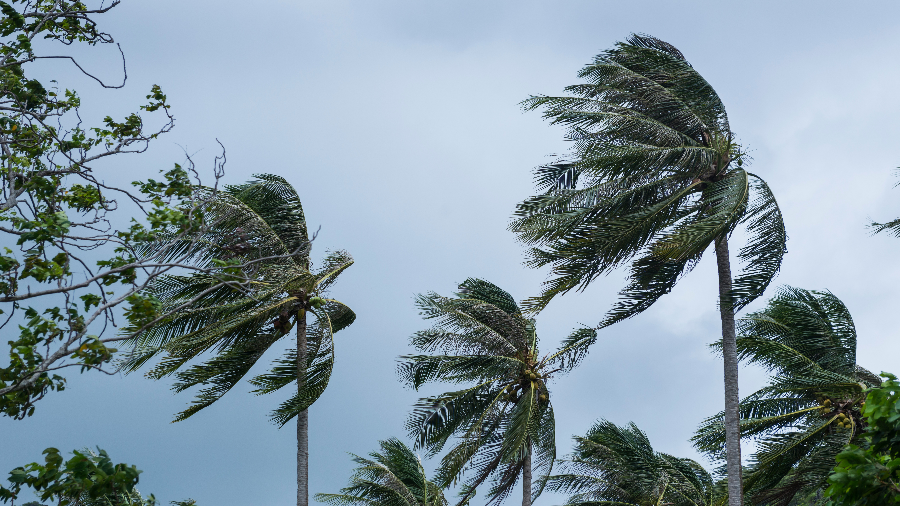 中央气象台今晨继续发布大风蓝色预警