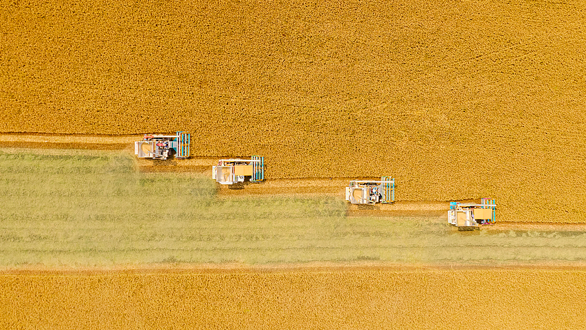 国家发改委：畅通收购收储渠道 切实稳定粮食市场