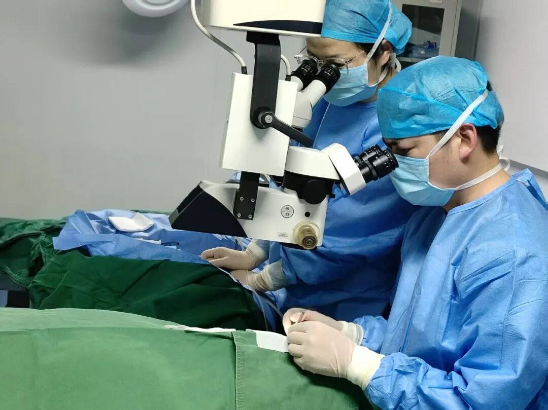 周口市妇幼保健院成功开展首例极低体重早产儿局麻下玻璃体腔内注药术